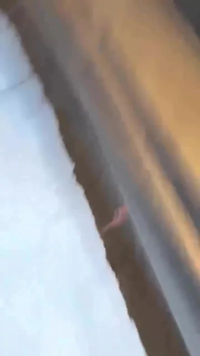 sosiwoczostkowe - Motocykle wcale nie sa takie niebezpieczne. ( ͡º ͜ʖ͡º)
#motocykle ...