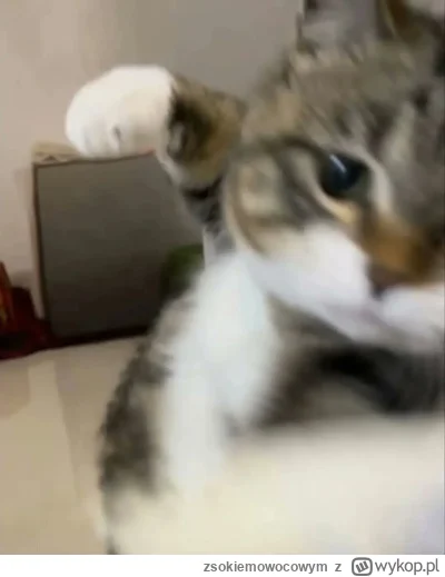 zsokiemowocowym - Witamy w koloni.
Rozdział 1