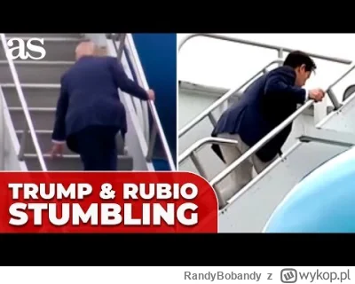 RandyBobandy - Pomarańczowa małpa potknęła się na schodach do samolotu, więc wchodząc...