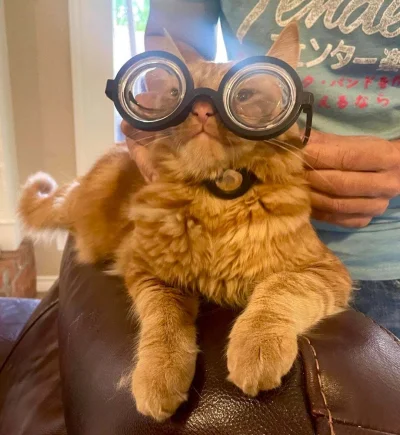 krystiano_ps3 - bążur