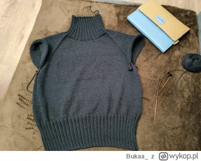 Bukaa_ - Jeszcze rękawy i będzie gotowy. (｡◕‿‿◕｡)

Bardzo chciałam zdążyć zanim się o...