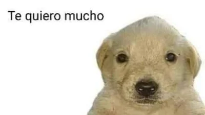 CPerez11 - @JuzefCynamon: ( ͡º ͜ʖ͡º)