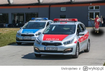 Ustrojstwo - #wolololo #policja #heheszki