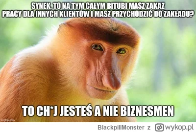 BlackpillMonster - #programista15k #programowanie #pracait #korposwiat