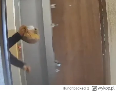 Hunchbacked - Cip, Cip.
#danielmagical #patostreamy