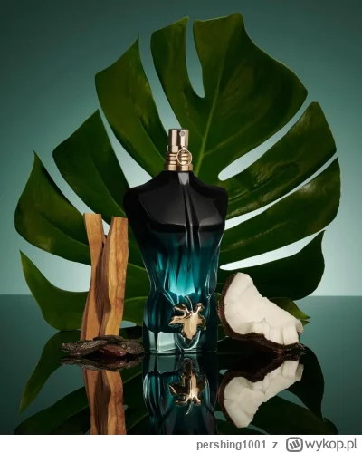 pershing1001 - Do rozebrania poleca się Jean Paul Gaultier Le Beau Le Parfum w świetn...
