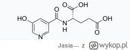 Jasia--- - Zebrane przeze mnie informacje naukowe na temat nowego leku nootropowego -...