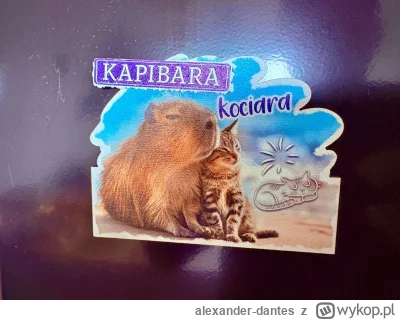 alexander-dantes - Crossover na jaki nie zasługujemy...

#zwierzaczki #zwierzeta #heh...