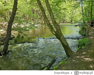 DopraRypa - 152 268 + 170 + 2 = 152 440

Pomyślałem sobie - pojadę ciapągiem na rozto...