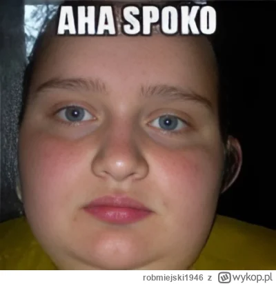 robmiejski1946 - @WojciechM-ce ALE WSZYSTKIM POWIEDZIAŁEŚ JA NAWET NIE CZYTAŁEM