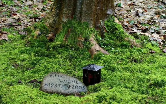 Zmorka - @kbmocny: uwielbiam takie, a nie te kiczowate kamienne cmentarze, ani to ład...