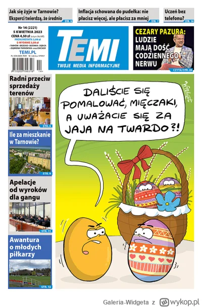 Galeria-Widgeta - Rys. Widget dla Tygodnika Temi
#tarnow #tworczoscwlasna