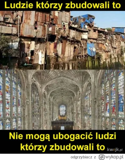 odgrzybiacz - #bekazlewactwa #imigranci #takaprawda