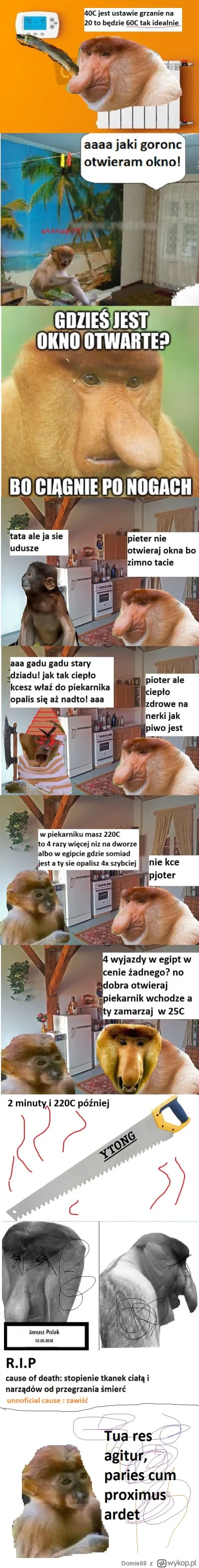 Domis08 - @Kantorwymianymysliiwrazen