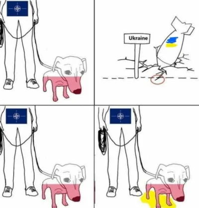 witkacyborewicz - @Operator_imadla: a w rzeczywistości: