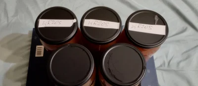 powsinogaszszlaja - @powsinogaszszlaja: