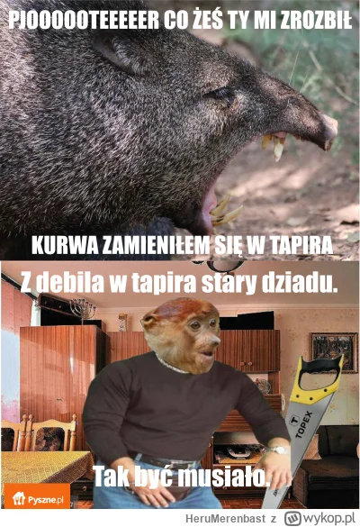 HeruMerenbast - #konkursnanajbardziejgownianymemznosaczem #sztukadlasprawiedliwych #p...