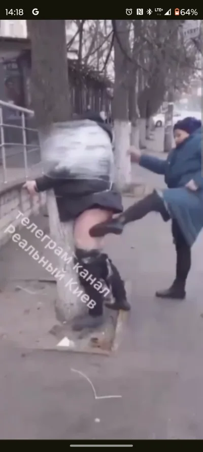 kot-jedzacy-jablka - Może nie ekologicznie ale za to tanio