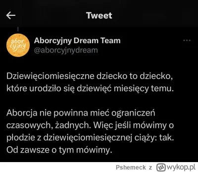 Pshemeck - Chciałbym, by kobiety mogły dokonywać aborcji do 12 czy nawet do 18. Chcia...
