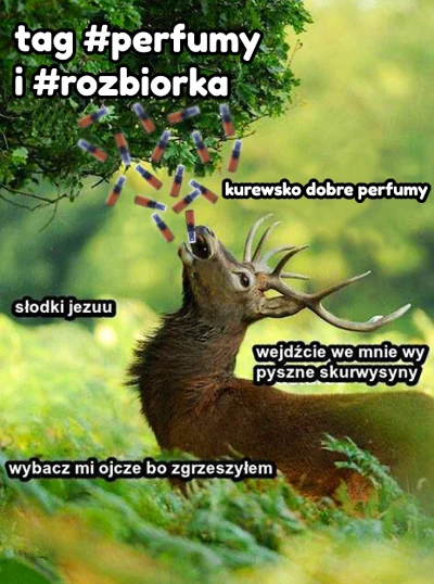 Krzysu - Siema #perfumy 

Kupię odlewki perfum damskie i męskie, pokażcie mi swoje to...