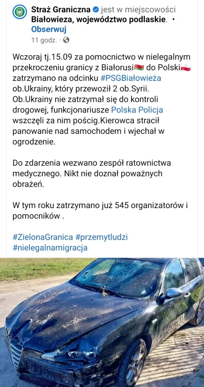 p.....n - Ponad pół tysiąca zatrzymanych przewoźników, skala przemytu ludzi jest olbr...