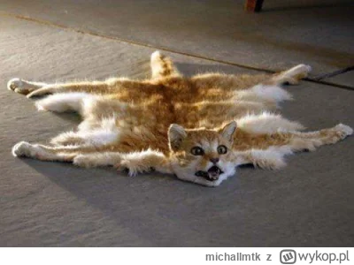 michallmtk - @nieudacznik2137