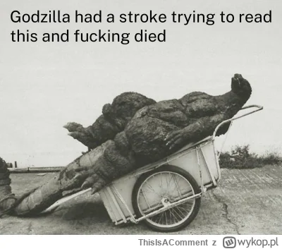 ThisIsAComment - @Uzytkownik_awaryjny: