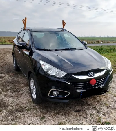 PachneImbirem - Miał przyjść prezent do Mireczka a przyszły rogi do Pszczółki!

Czy t...