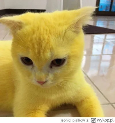 leonid_bialkow - za mało rzułty