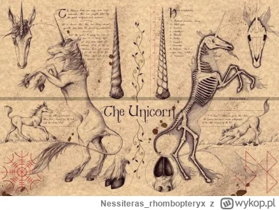 Nessiteras_rhombopteryx - #gabinetosobliwosci #jednorozce
SPOILER