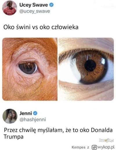 Kempes - #ciekawostki #heheszki #polityka