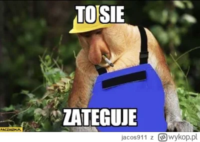 jacos911 - @Mr_Swistak: Dużo ludzi na urlopie przez długi weekend, dobry moment na wy...