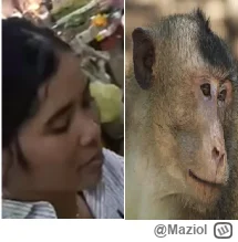 Maziol - #raportzpanstwasrodka Hmmmm, ciekawe nad czym tak duma xD
zdjecie dzieki upr...