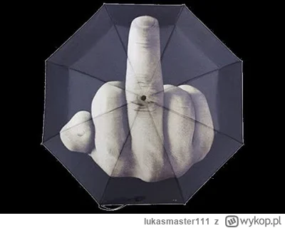 lukasmaster111 - @CzcigodnyNiewierny: Wykład pt. "Jak trzymać parasol nad wielebnym" ...