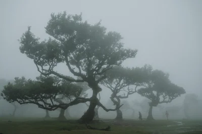 maciejos-donbakos - @PorkaTurbo: no i się skończyło eldorado przed idiotów którzy cho...