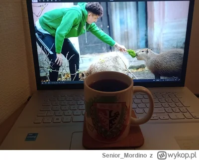 Senior_Mordino - Do meczycha jescze niecałe 3 godziny, ale już teraz zamykam gębę wsz...