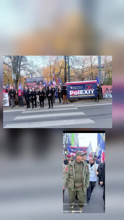 PavulonRazPavulonDwa - Braunistyczne nieroby przykleiły się do Śląska i przemysłu, il...