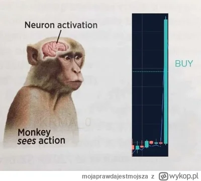 mojaprawdajestmojsza - @Tooca_rev: czyli standardowo wykopki polecają kupować te alty...