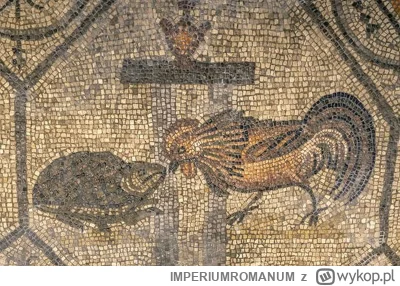 IMPERIUMROMANUM - Walka koguta z żółwiem na rzymskiej mozaice

Rzymska mozaika ukazuj...