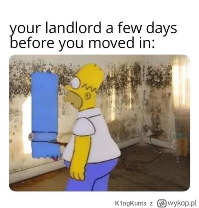 K1ngKunta - #heheszki #humorobrazkowy #angielski