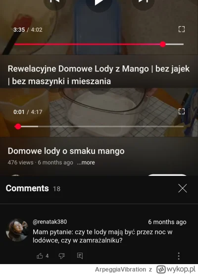 ArpeggiaVibration - #raportzpanstwasrodka Magdalenka wyraźnie inspiruje się innymi ka...