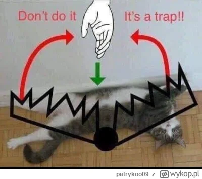 patrykoo09 - @Solsith: zbyt wiele razy się nabrałem ( ͡° ʖ̯ ͡°)