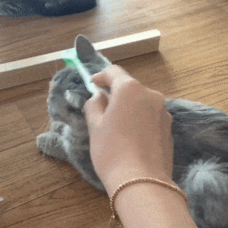 wfyokyga - Jutro se dodam gify, teraz może śmieszne obrazki