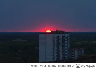 whosyourdaddy_snakegirl - #chcepogadac #mood