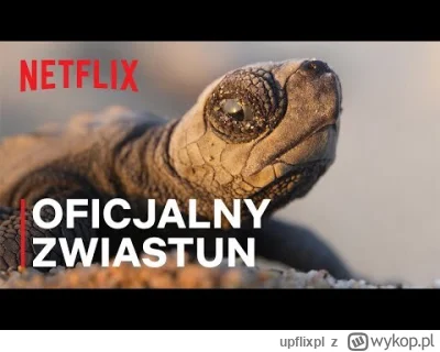 upflixpl - Nasza planeta 2 oraz Delete na zwiastunach od Netflixa

Netflix pokazał ...