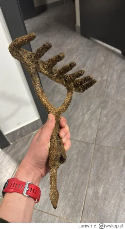 LuckyR - Dobry wieczór Mircy.

Znalazłem dziś w rzece coś takiego - zapewne kute grab...