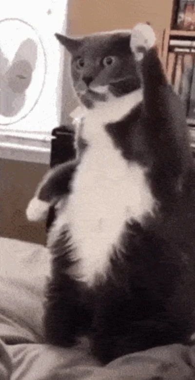 niebactrzaskowskiego - @wfyokyga: ten wąs, te gęsty, ( ͡° ͜ʖ ͡°)