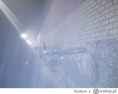 Radysh - #rowery #rowerzysci

znowu obrucilo 

Pizga po co łapkach. 
Ale został rzut ...
