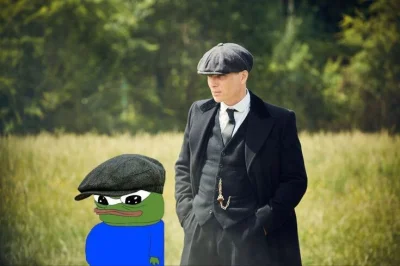 wfyokyga - Pepe Fookin Shelby.