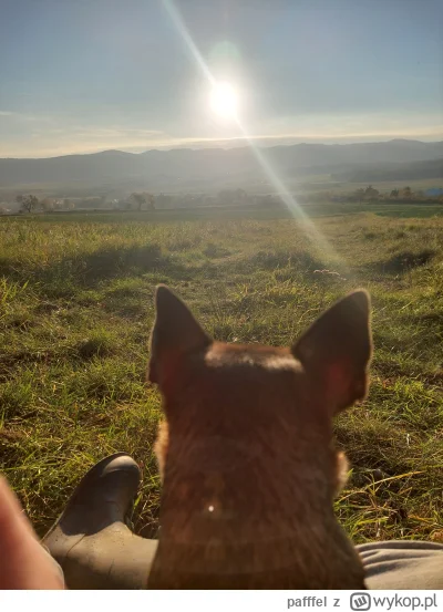 pafffel - @krytyk1205